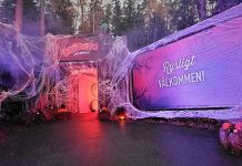 Kolmården omvandlas från Halloween till Sagojul