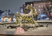 Julbelysning i vintertid – Tid att minska på elförbrukningen?
