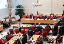 Nämndinitiativ – En demokratisk möjlighet eller ett verkningslöst instrument