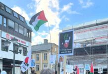 Palestinademonstration samlade hundratals i Linköping