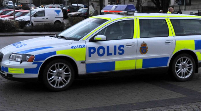 BLÅLJUS: Grov stöld och misshandel
