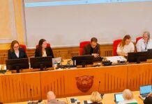 Rekord i antal uppskjutna ärenden på fullmäktigemötet?
