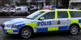 BLÅLJUS: Misstänkt föremål och viltolyckor