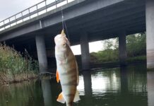 Skaffa digitalt fiskekort i Linköping