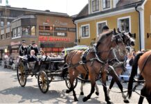 Kungen besöker Linköping och Ydre