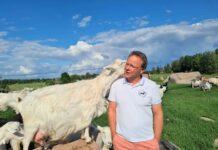 Prisutdelning inleder Östgötadagarna